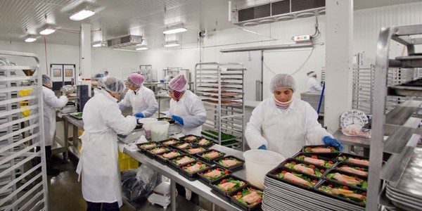 How To Start a Food Manufacturing Business